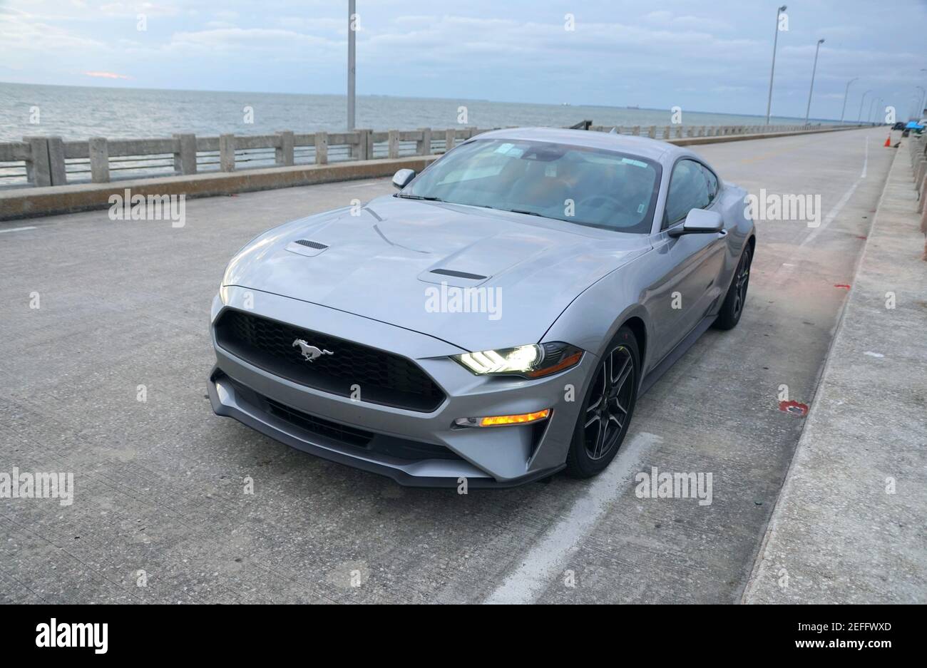 Saint-Pétersbourg, Floride, États-Unis - 16 février 2021 - UNE toute nouvelle Ford Mustang 2021 de couleur argent Banque D'Images