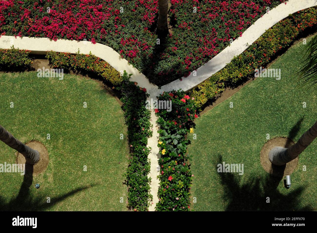 Une vue aérienne des jardins de Las Mananitas à San Jose Del Cabo, MZ avec un mur en y caractéristique. Banque D'Images