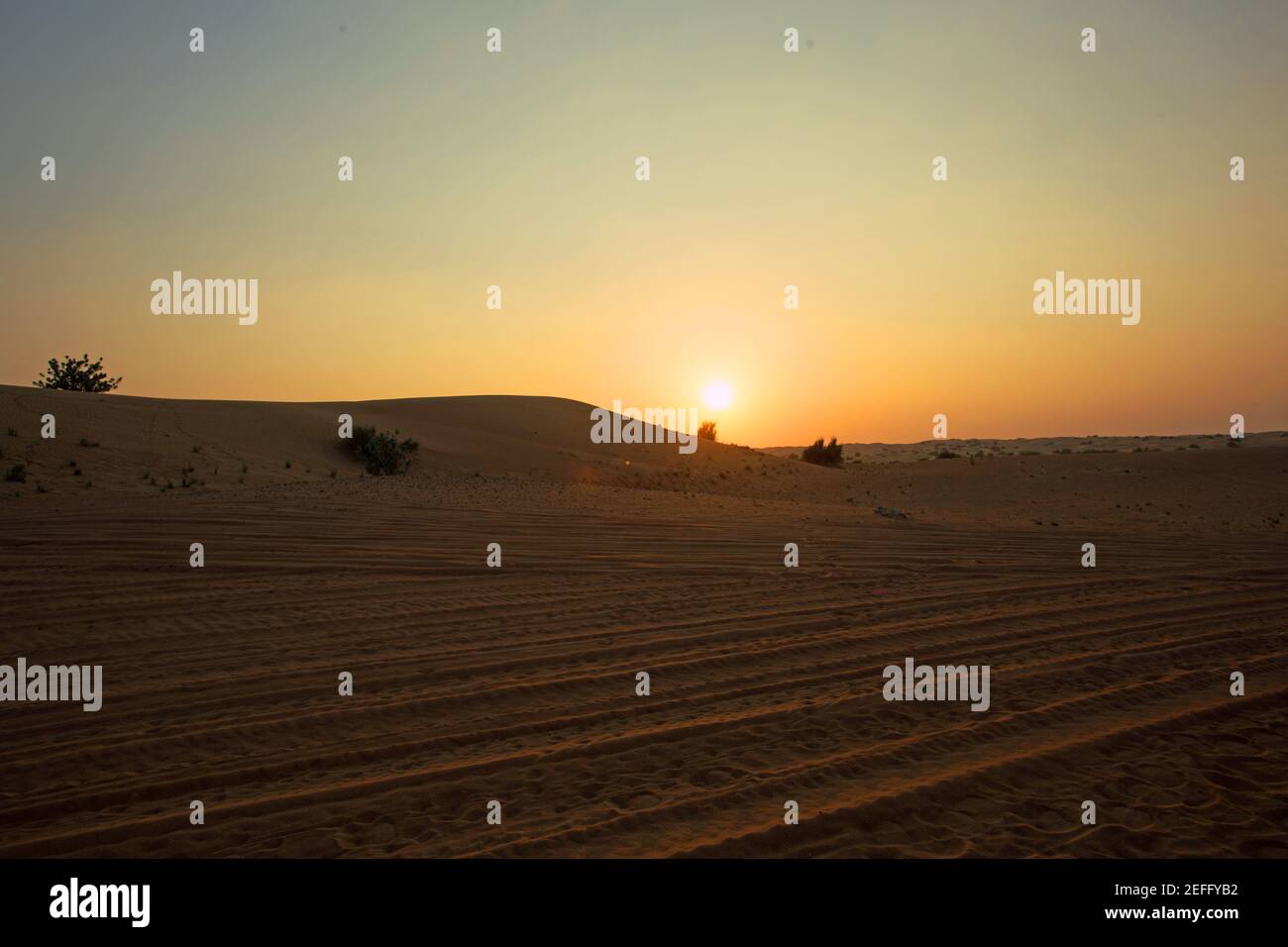 Poncer les routes désertiques extrêmes avec des chenilles pour pneus. Les dunes sauvages de Dubaï en arabe au coucher du soleil Banque D'Images