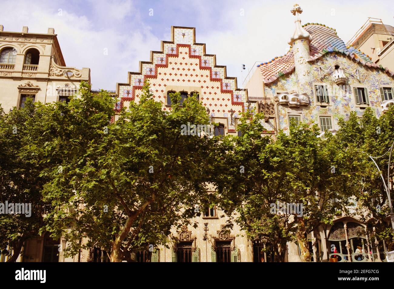 Arbres en face d'un bâtiment, Casa Amatller, Barcelone, Espagne Banque D'Images