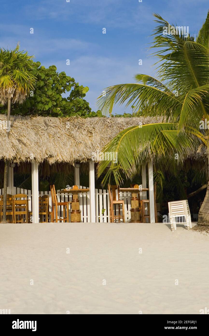 Restaurant au toit de chaume sur la plage, West Bay Beach, Roatan, Bay Islands, Honduras Banque D'Images