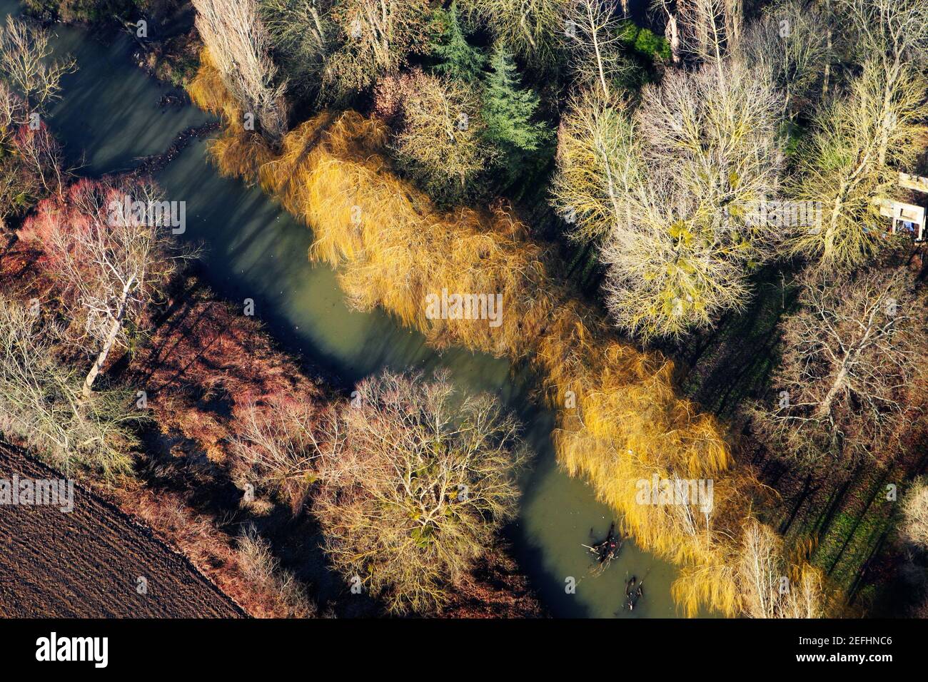 Vue aérienne d'un bras de Seine traversant une forêt colorée à Mantes-la-Jolie, dans le département des Yvelines (78200), région Ile-de-France, Fran Banque D'Images