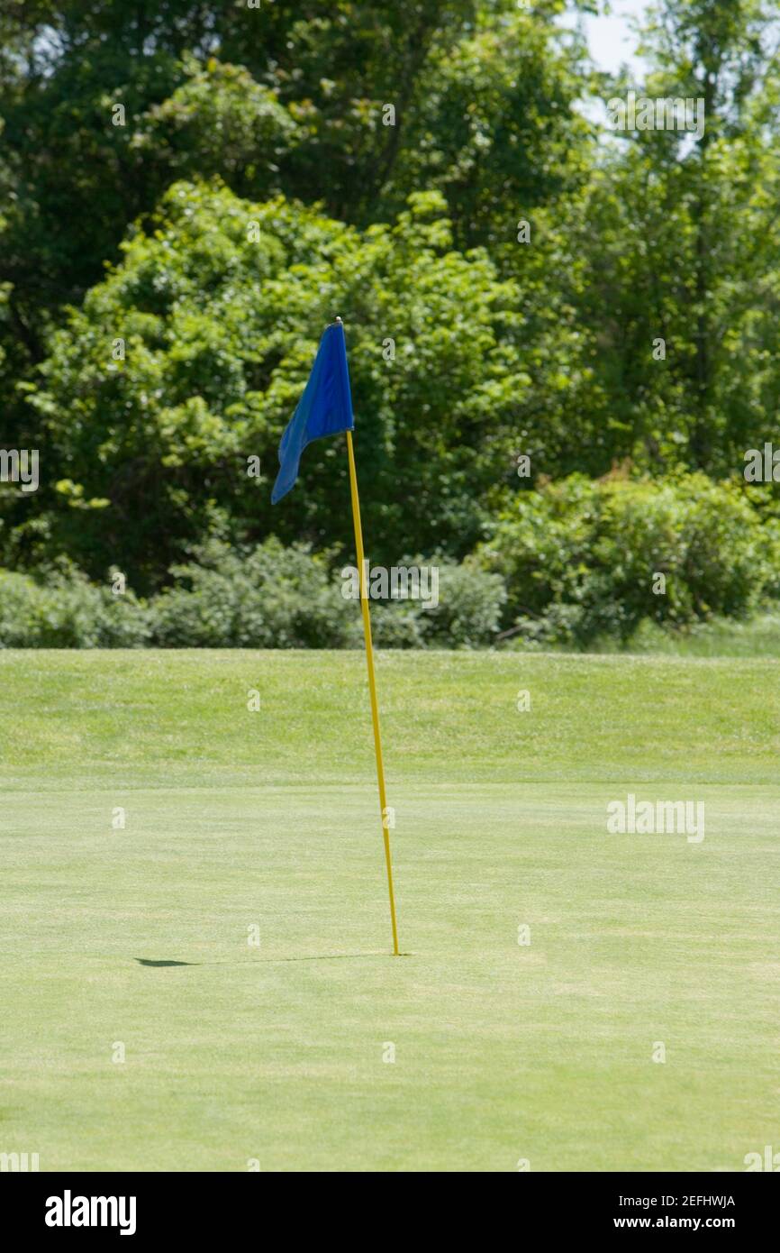 Drapeau de golf sur un parcours de golf Banque D'Images