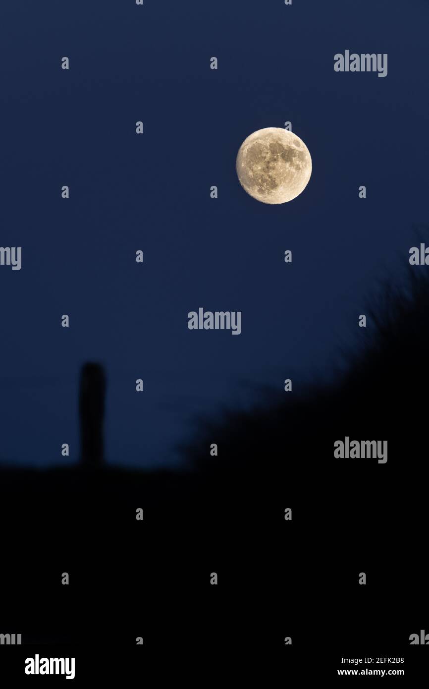 Nuit de pleine lune Banque D'Images