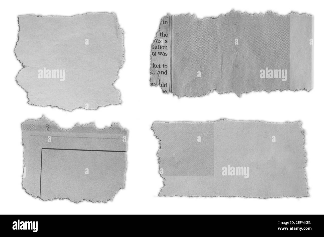 Quatre morceaux de papier déchiré sur fond uni Banque D'Images