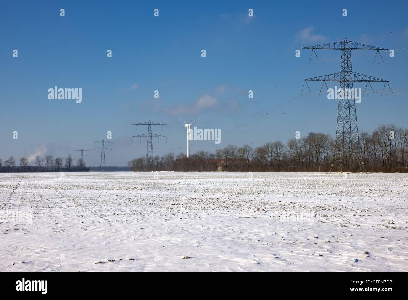 Paysage agricole hollandais recouvert de neige en hiver Banque D'Images