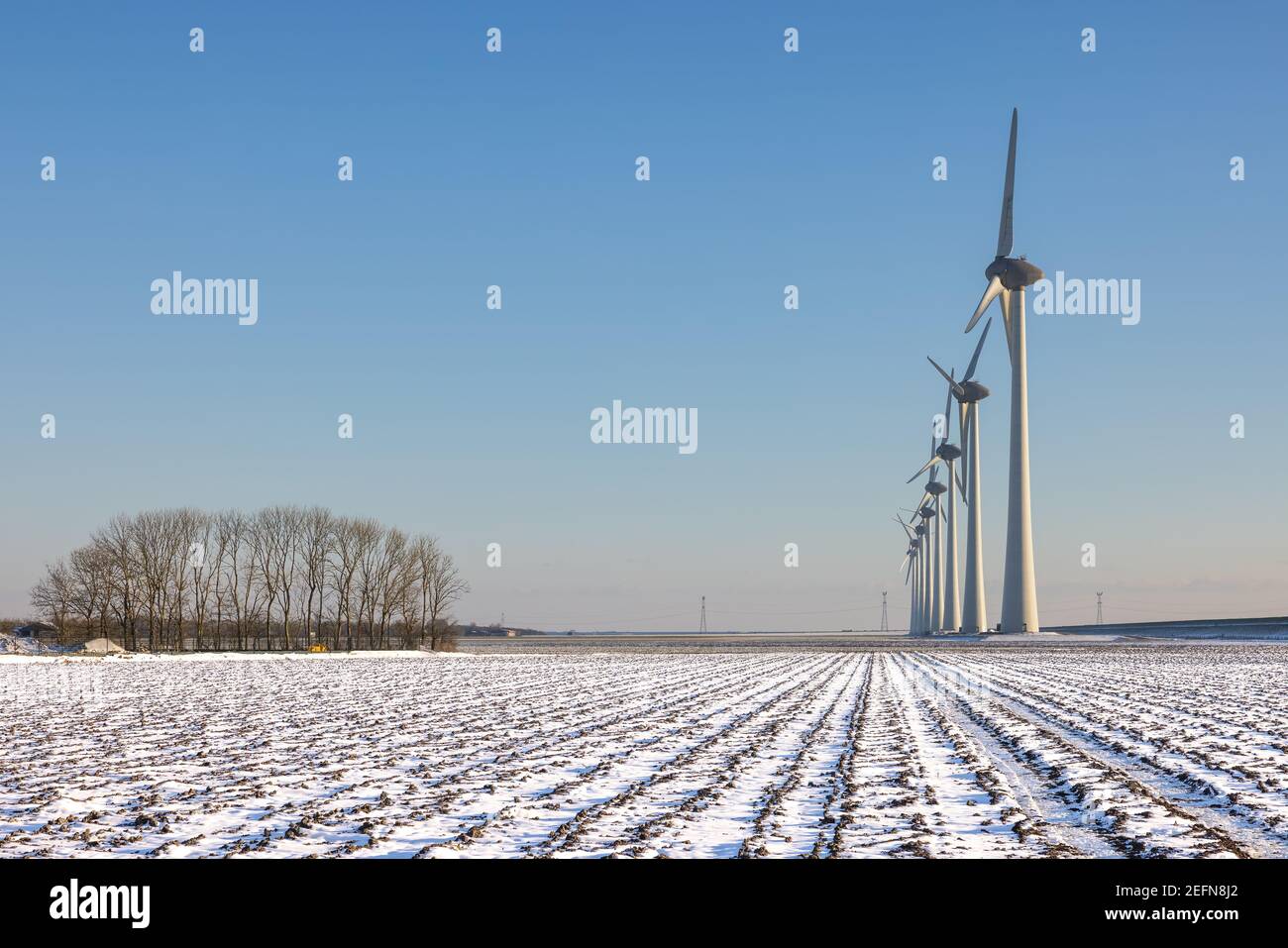 Paysage agricole néerlandais avec éoliennes et champs couverts de neige Banque D'Images