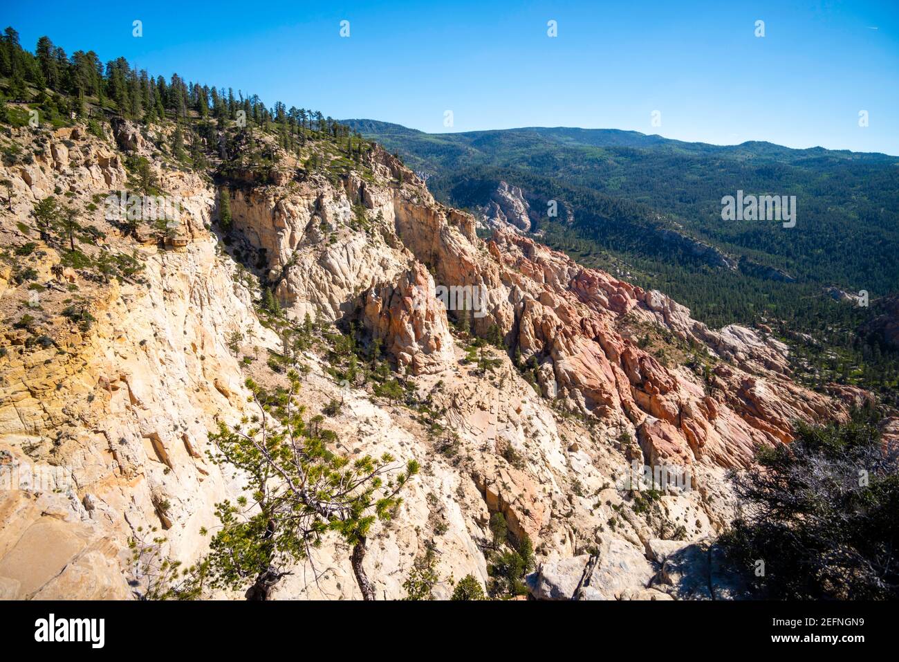 Vue depuis Hells Backbone Road, près d'Escalante et Boulder, comté de Garfield, Utah, États-Unis, lors d'une belle journée d'été. Banque D'Images