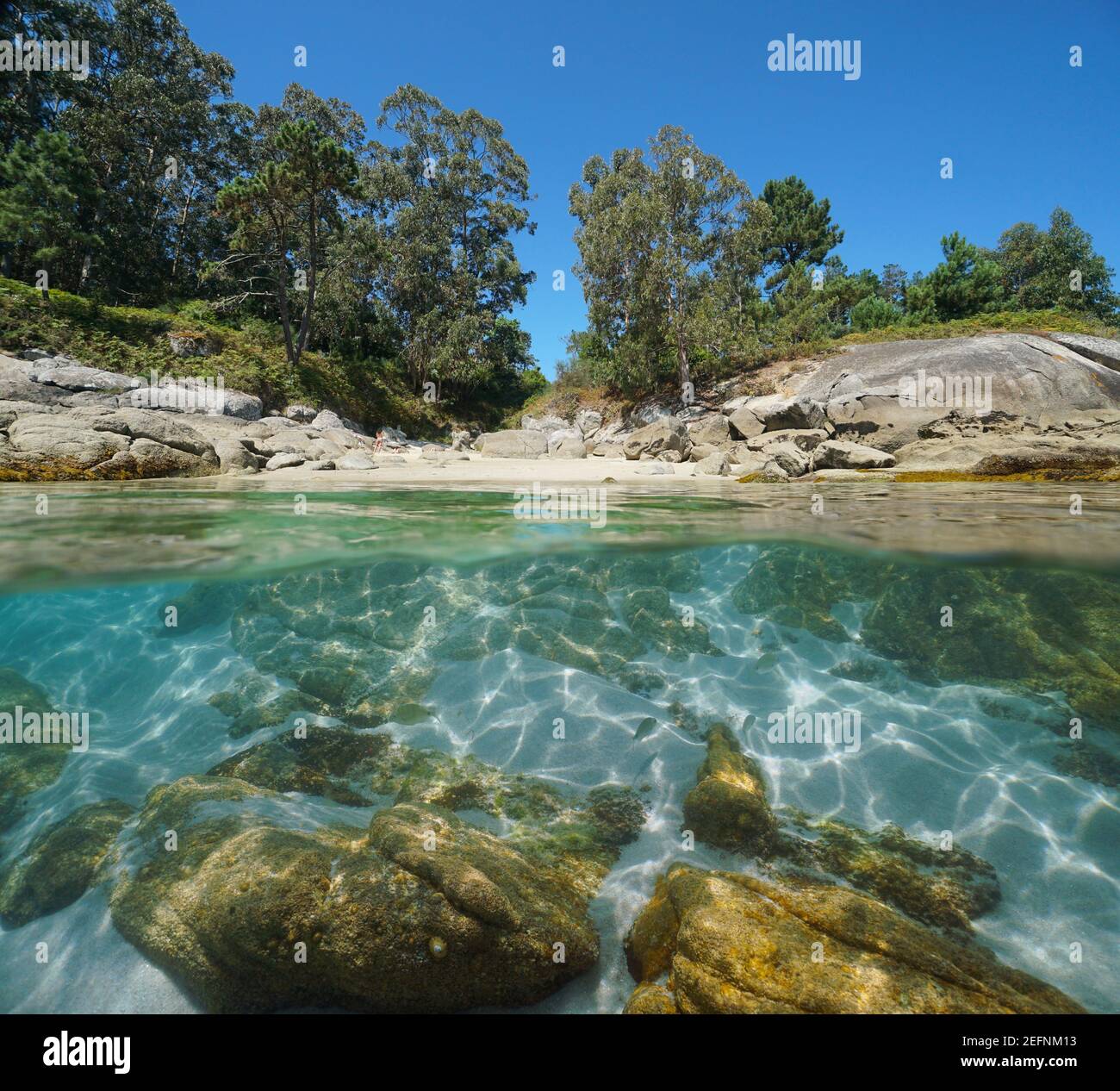 Plage de rivage Banque de photographies et d’images à haute résolution ...