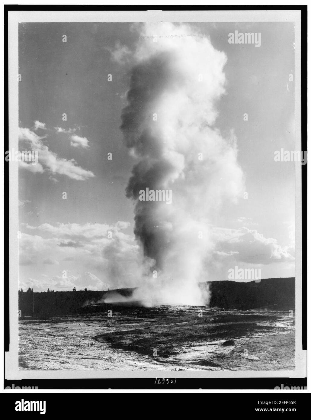 Old Faithful Geyser, le Parc National de Yellowstone, Wyoming Banque D'Images