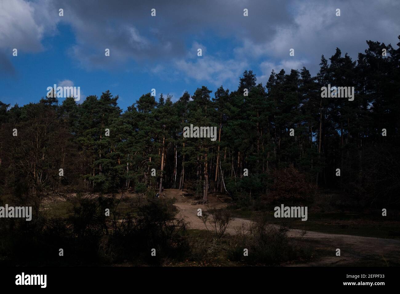 Wahner-Heide en Allemagne Banque D'Images