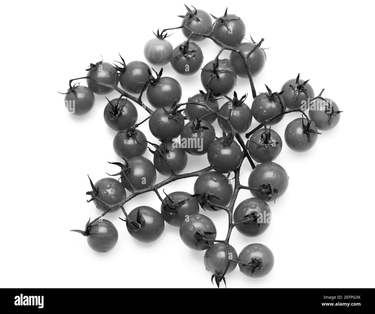 Concept d'agriculture et d'alimentation fraîche. Composition de la récolte d'été faisant star ou France frontières image. Étoile de tomates de couleur rouge isolée sur fond blanc. Bouquet de tomates cerises en gros plan Banque D'Images