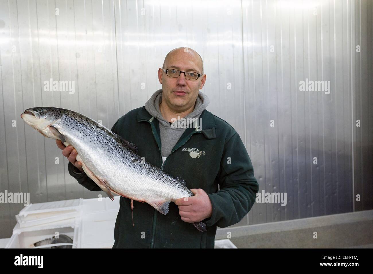 Fishmonger tenant un gros saumon de l'Atlantique dans son lieu de travail Hanseatic ville de Brême, Allemagne . Banque D'Images