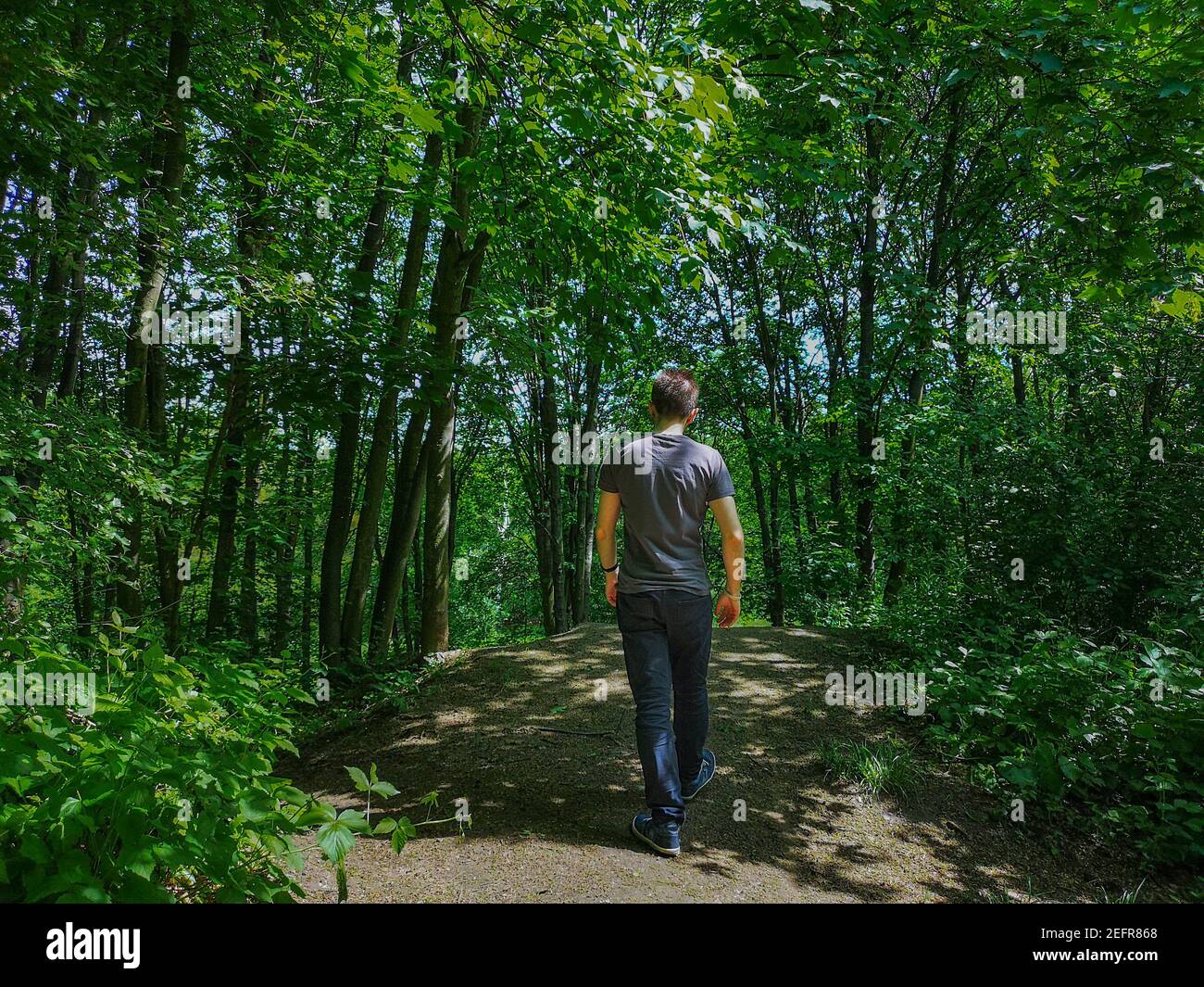 Homme en t-shirt au bord de la colline dans le parc avec arbres fins Banque D'Images