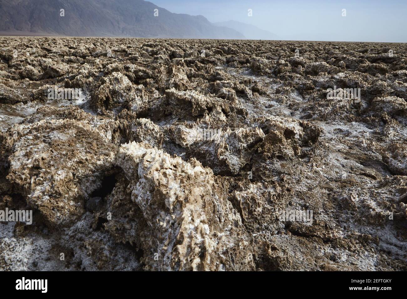 Dépôts de sel dans un désert, le parcours de golf de Devils, le désert de Mojave, le parc national de la Vallée de la mort, Californie Banque D'Images