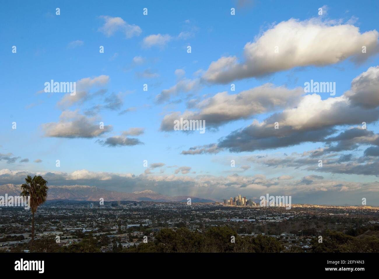 Vue sur le bassin de Los Angeles et la ligne d'horizon du centre-ville depuis Baldwin Hills. Banque D'Images