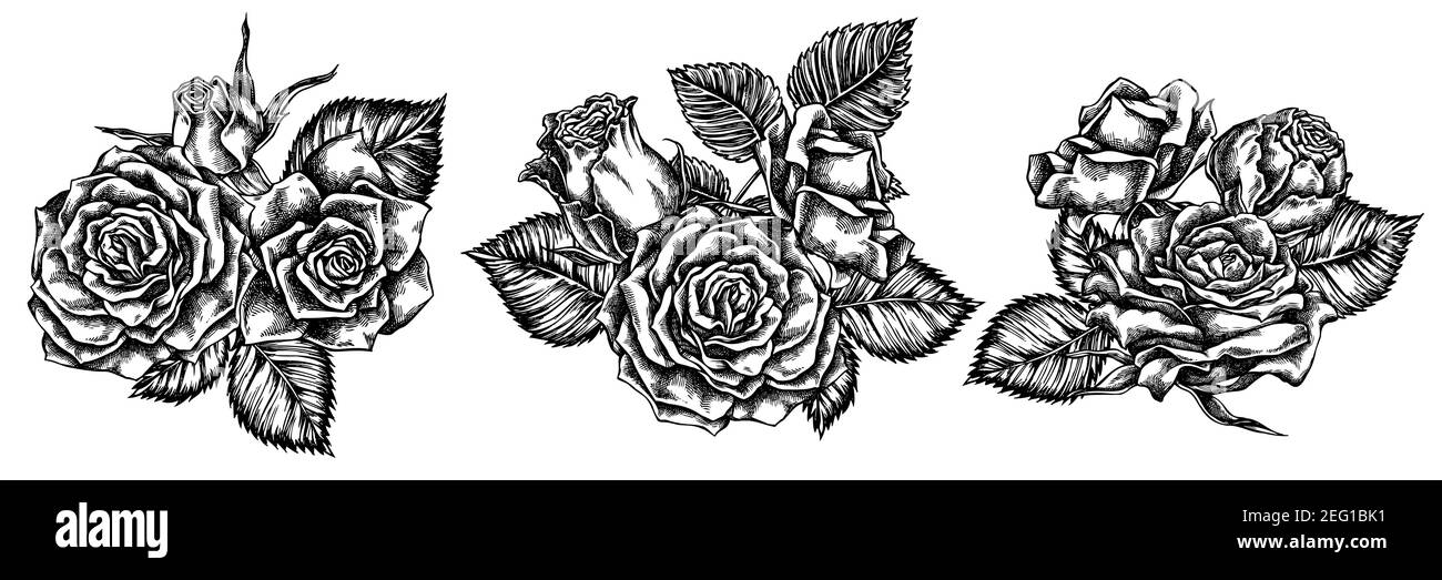 Bouquet de fleurs de roses noires et blanches Illustration de Vecteur