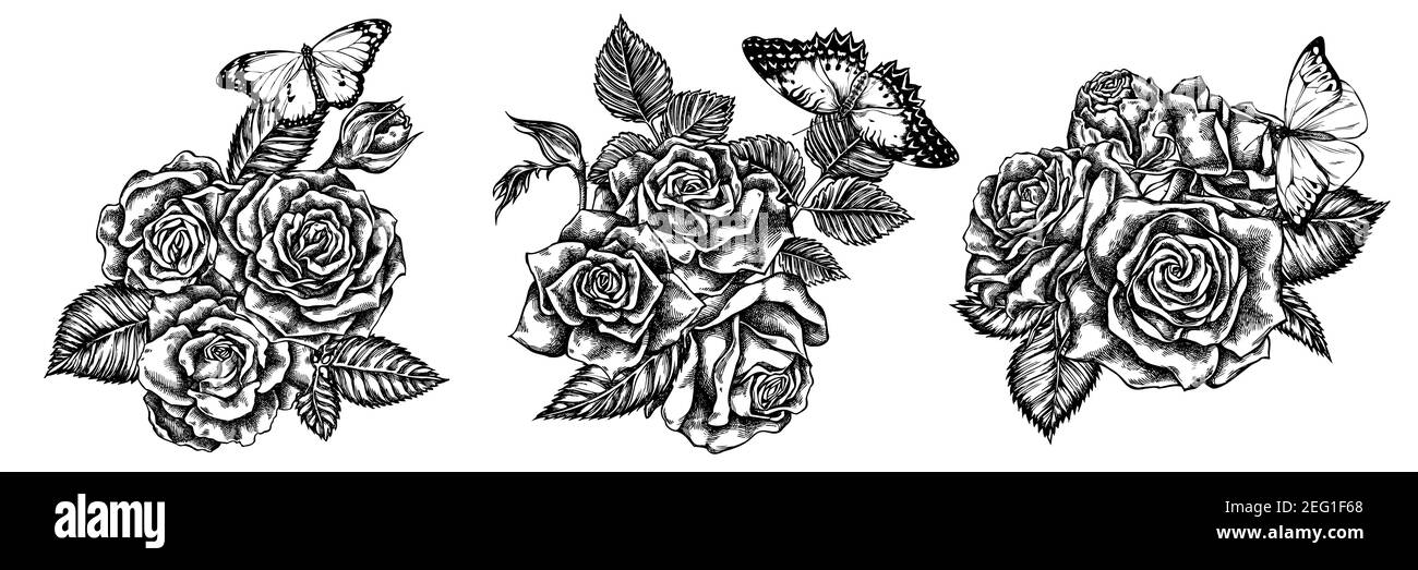 Bouquet de fleurs de noir et blanc rouge laquant, grand bout d'orange, tigre Uni, roses Illustration de Vecteur