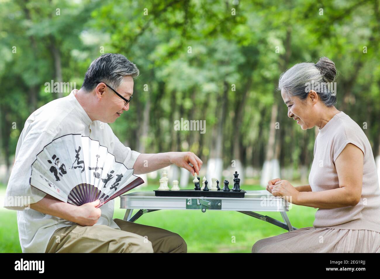 Bon vieux couple jouant aux échecs dans le parc en été Banque D'Images