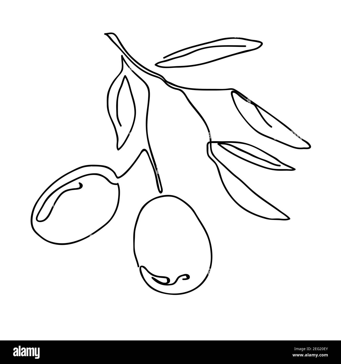 Un seul dessin de ligne continue de brunch aux fruits d'olive biologiques. Dessin moderne à une ligne dessin graphique illustration vectorielle Illustration de Vecteur