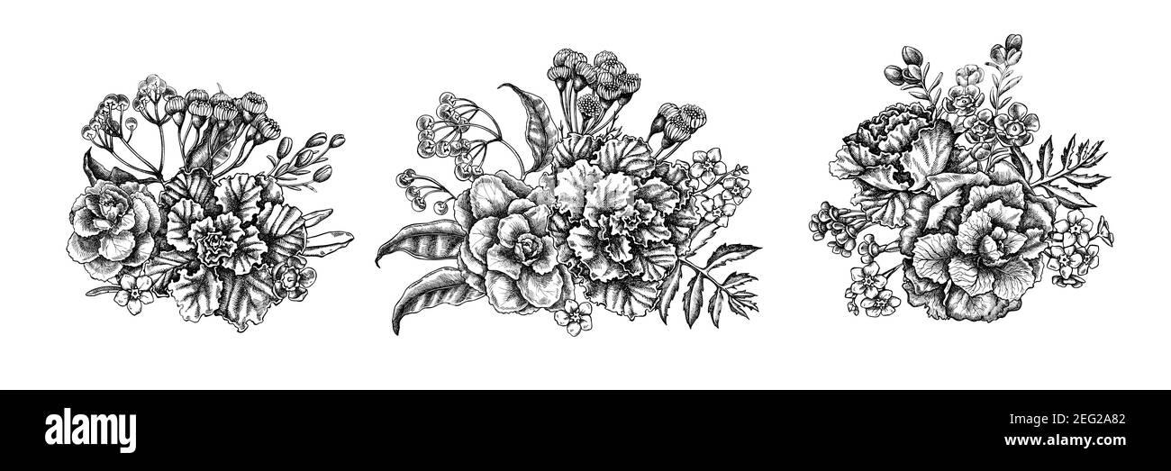 Bouquet de fleurs de cire noire et blanche, oubliez-moi pas fleur, tansy, ardisia, brassica, chou décoratif Illustration de Vecteur
