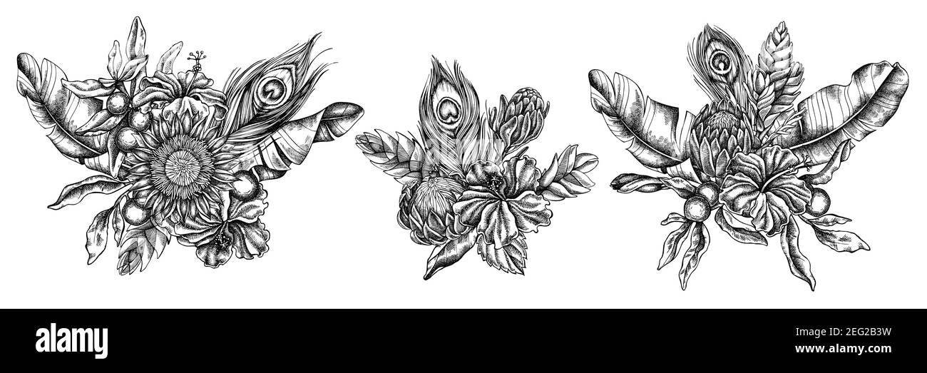 Bouquet de fleurs de feuilles de banane noir et blanc, hibiscus, solanum, broméliade, plumes de paon, protea Illustration de Vecteur