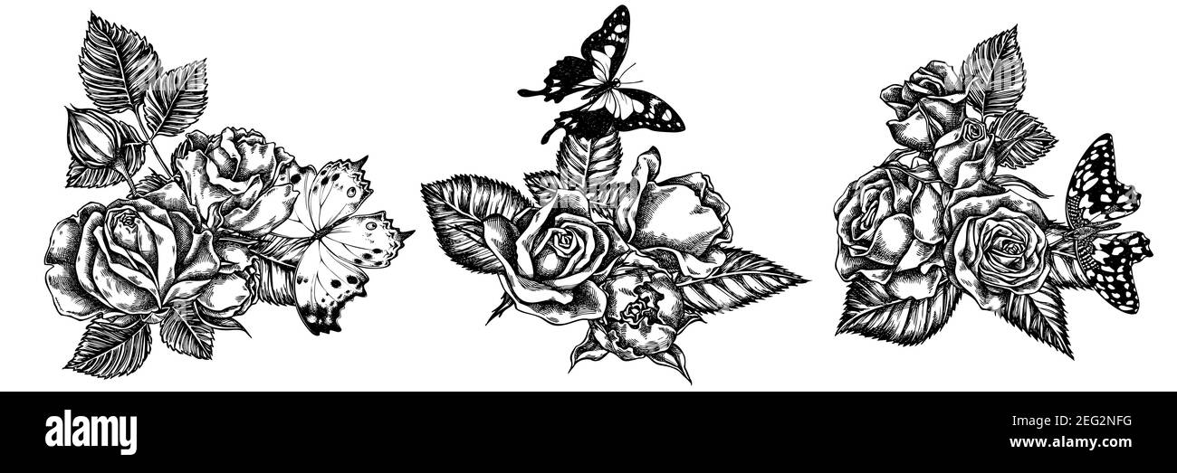 Bouquet de fleurs de citron noir et blanc papillon, queue de cyprès pourpre, forêt nacre, roses Illustration de Vecteur