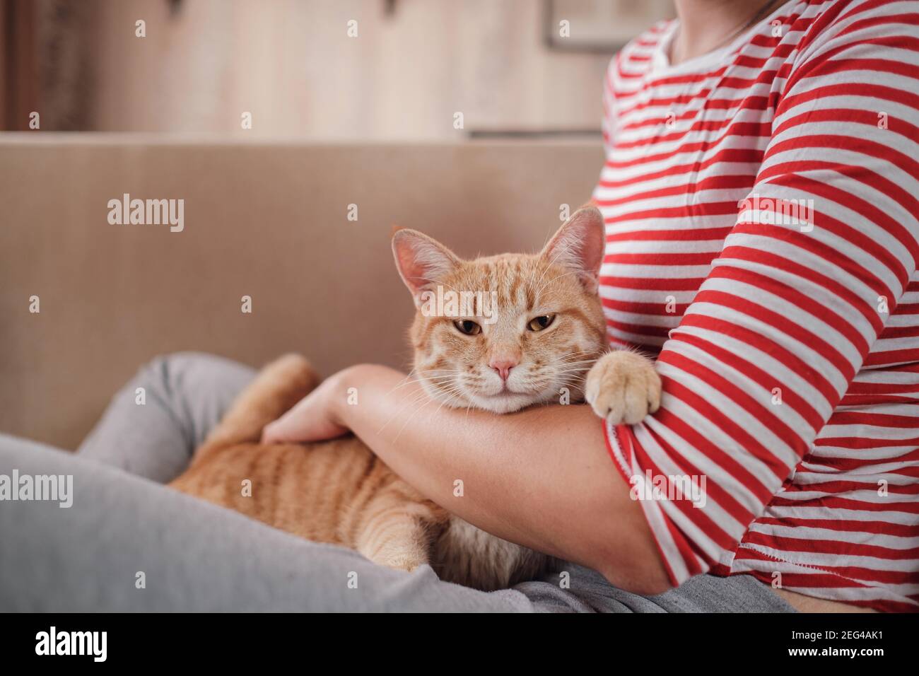 femme se détendant avec son chat de tabby au gingembre sur un canapé. Ambiance chaleureuse, concept d'hygge. Animaux et mode de vie Banque D'Images