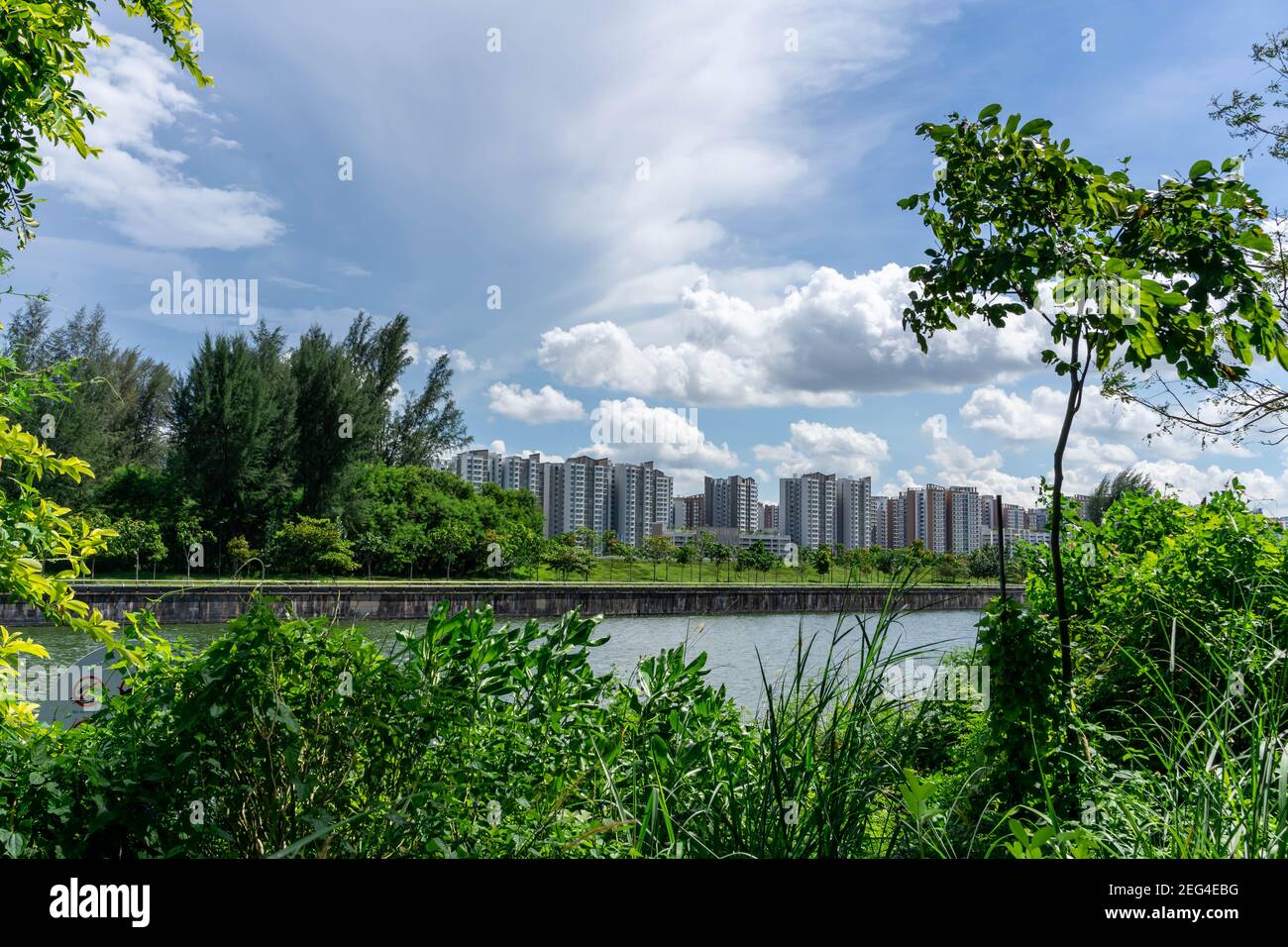 Vue sur les appartements de logement public de Singapour dans le district de Punggol, Singapour. Conseil de développement du logement (HDB), vue du parc avec pelouse verte Banque D'Images