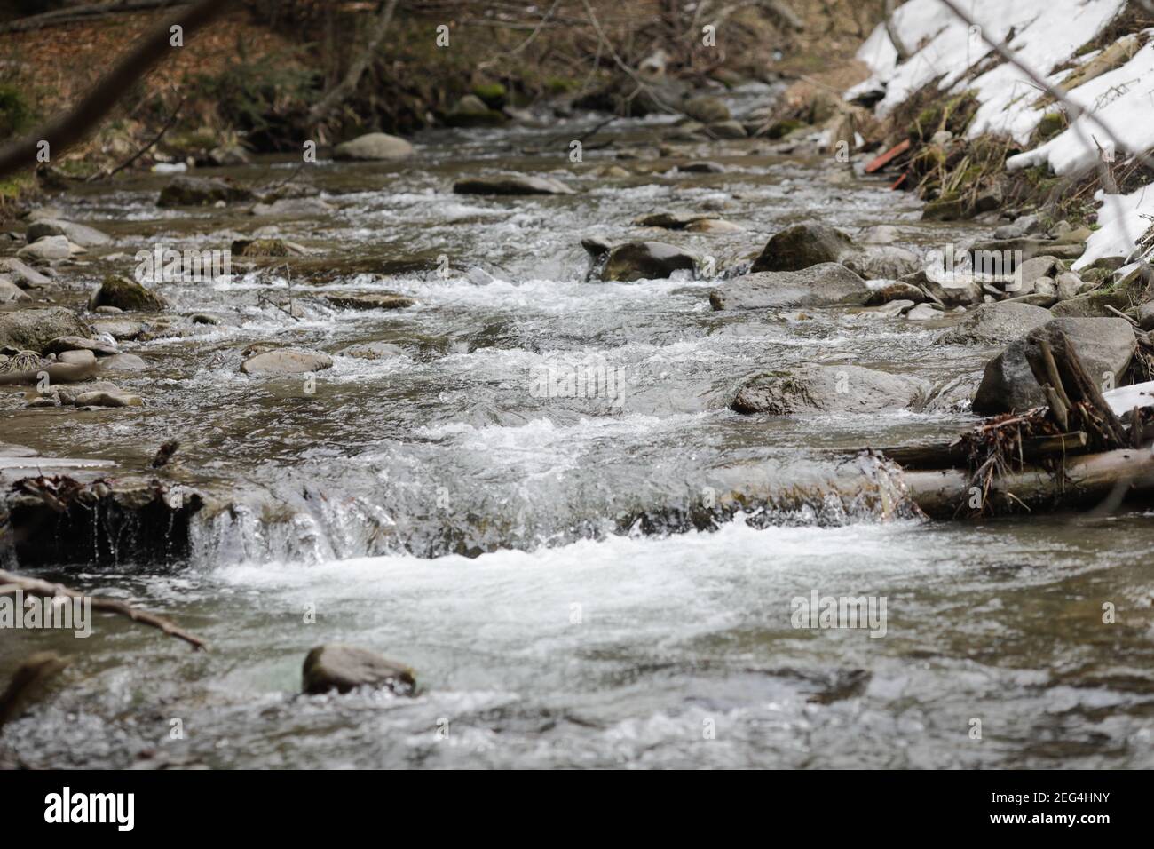 Détails avec l'eau claire d'un cours d'eau de montagne en cours pendant une journée d'hiver froide et ensoleillée dans les montagnes roumaines des Carpates. Banque D'Images