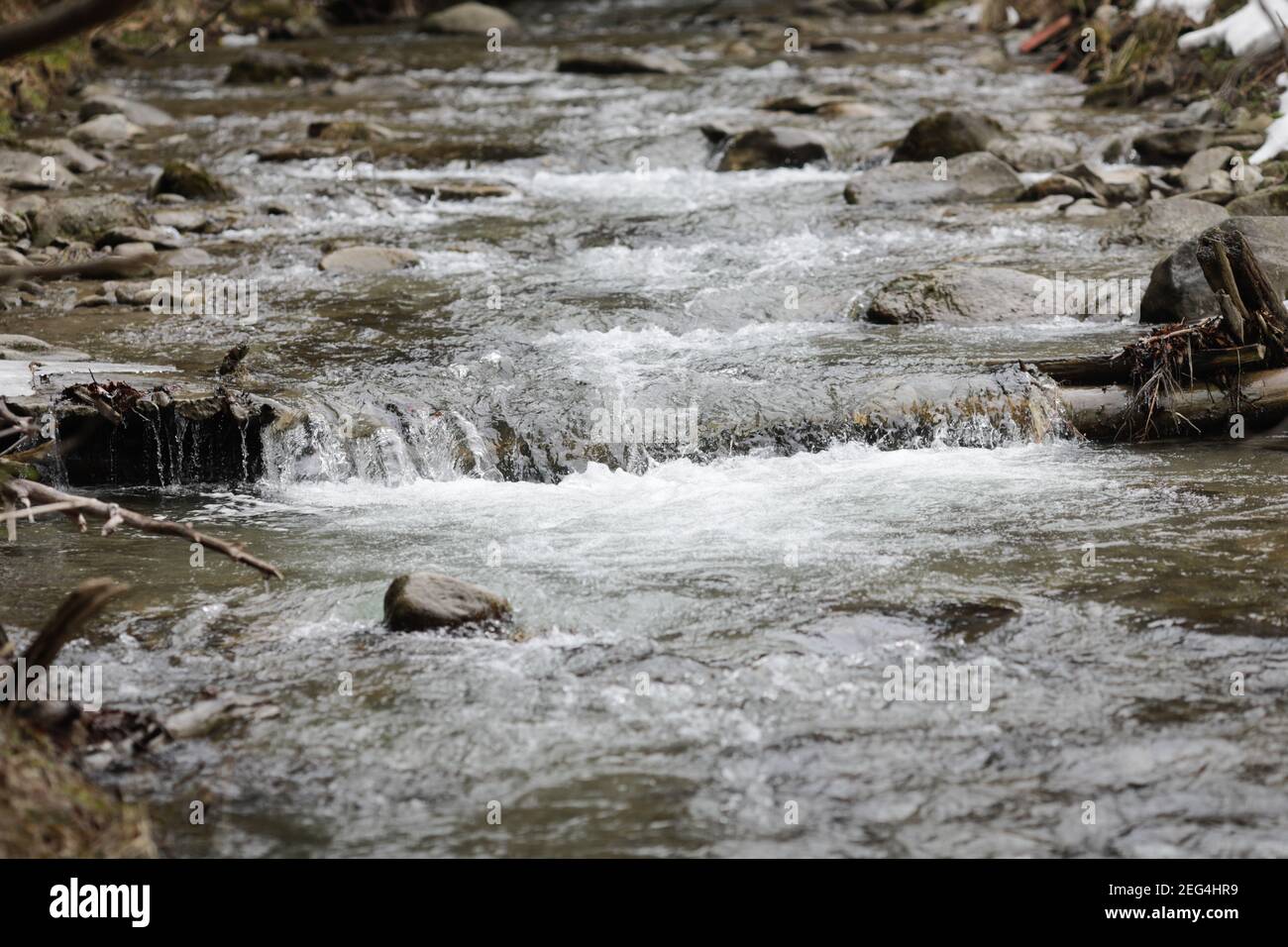 Détails avec l'eau claire d'un cours d'eau de montagne en cours pendant une journée d'hiver froide et ensoleillée dans les montagnes roumaines des Carpates. Banque D'Images