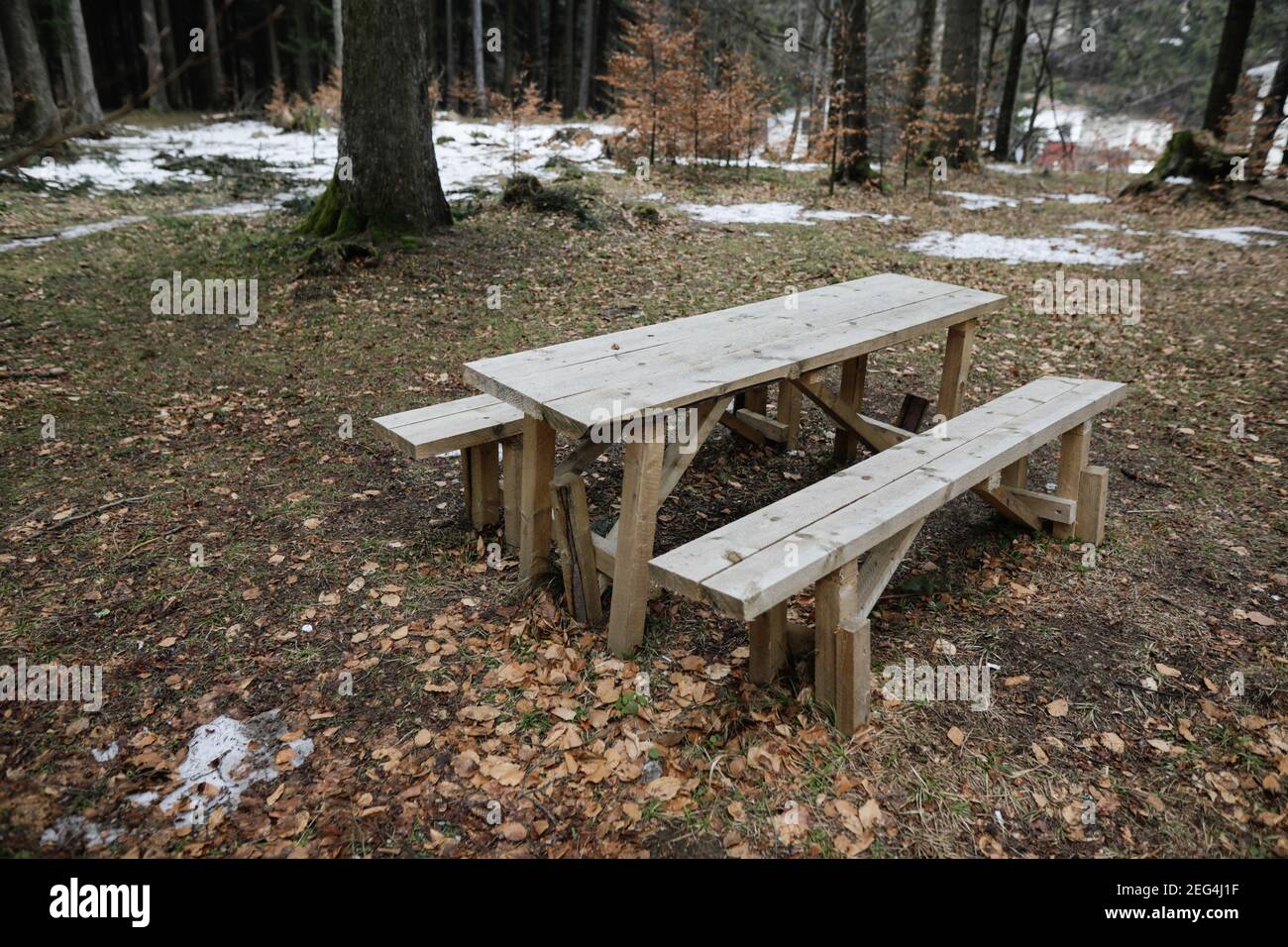 Table et bancs en bois au milieu d'une forêt roumaine pendant une journée d'hiver froide et pluvieuse. Banque D'Images
