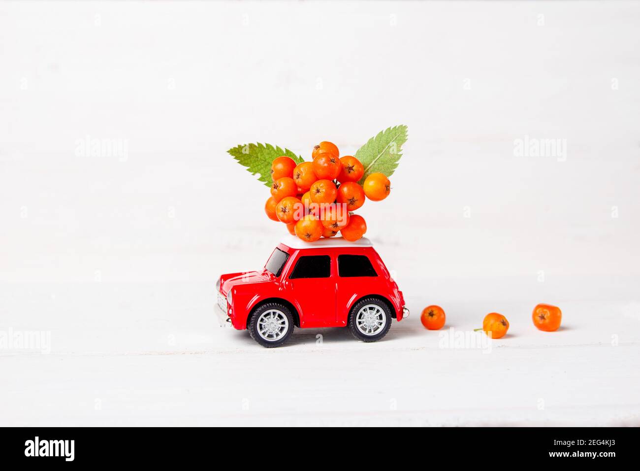 Voiture jouet rouge avec rowan sur le toit sur un fond en bois blanc. Concept de carte de vœux d'automne. Banque D'Images