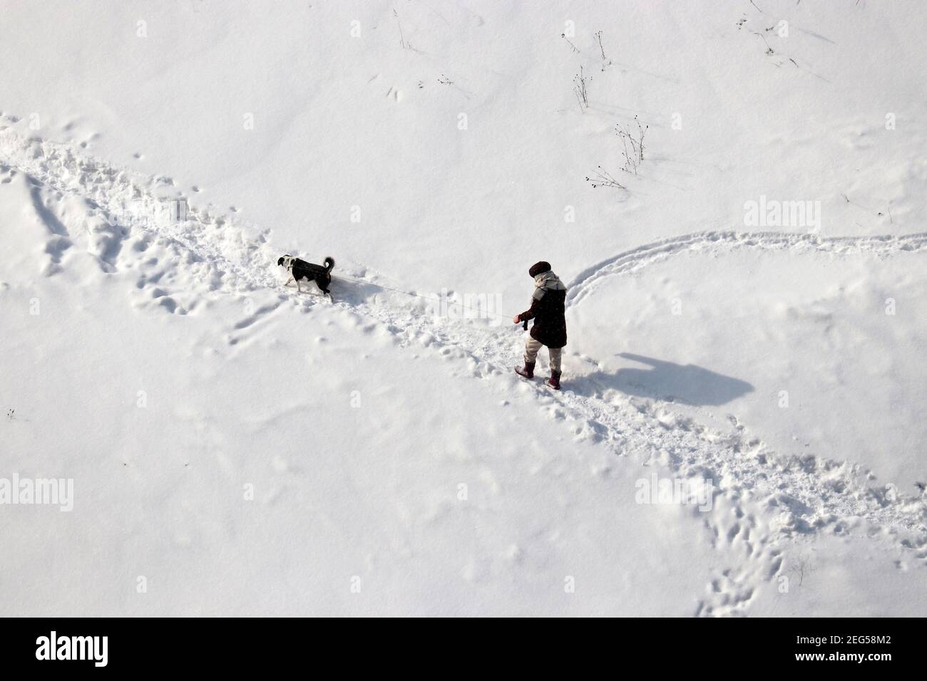 Fille marchant un chien par temps froid de neige, vue de dessus Banque D'Images