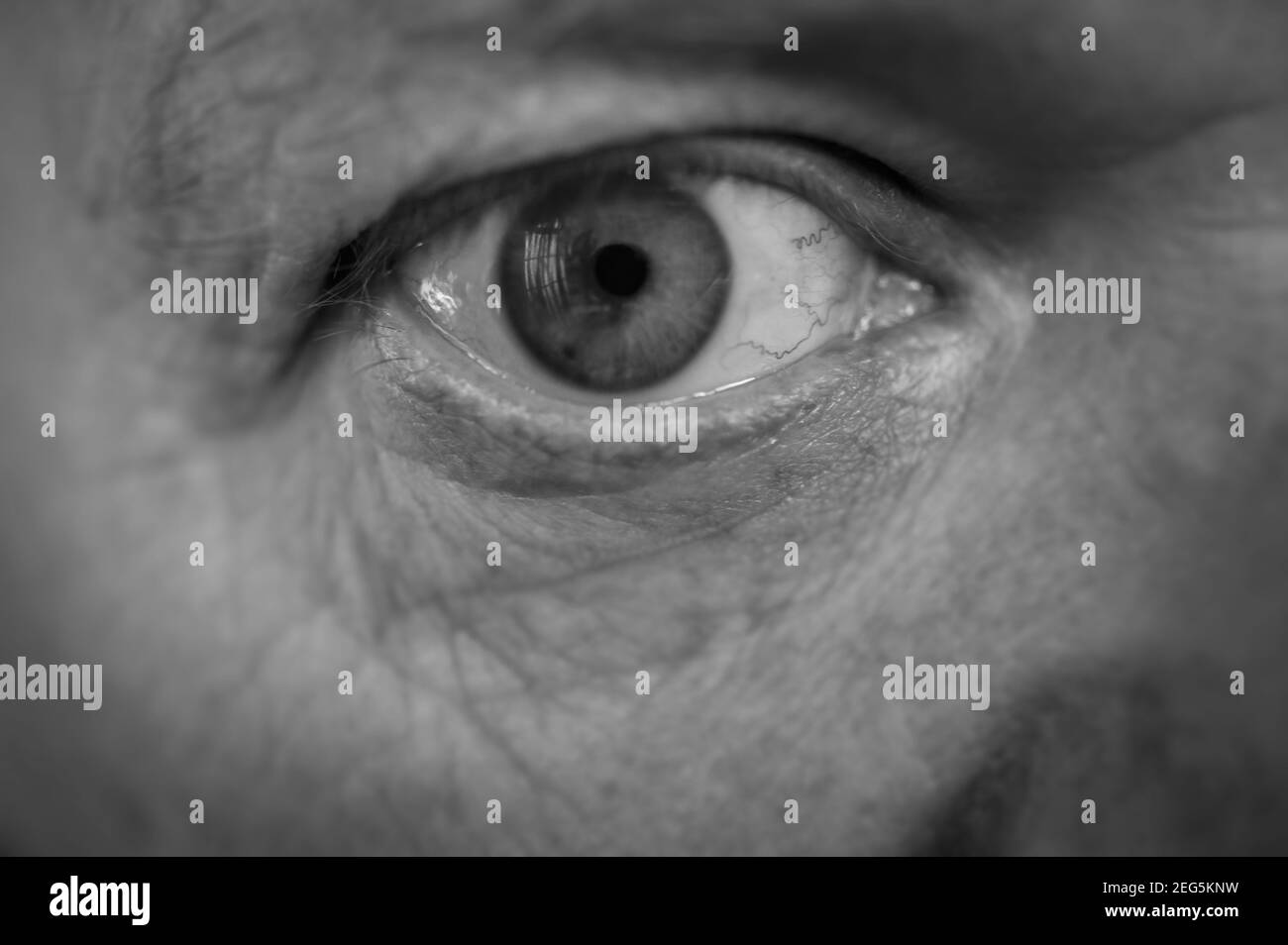 Gros plan noir et blanc d'un œil humain d'un homme d'âge moyen. Banque D'Images