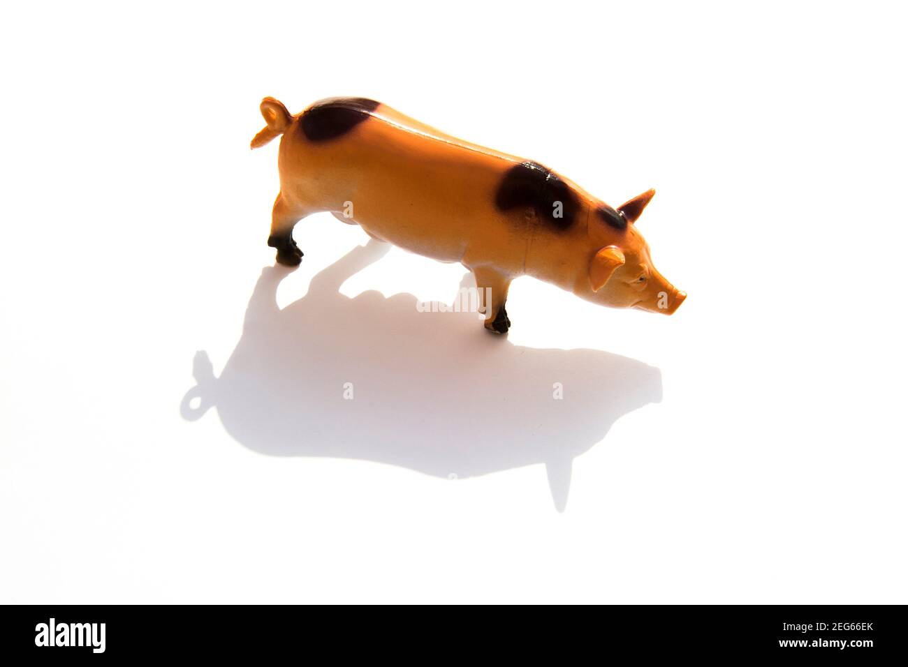 Figurine de porc en plastique projetant une ombre sur un fond blanc pendant les heures de lumière du jour Banque D'Images