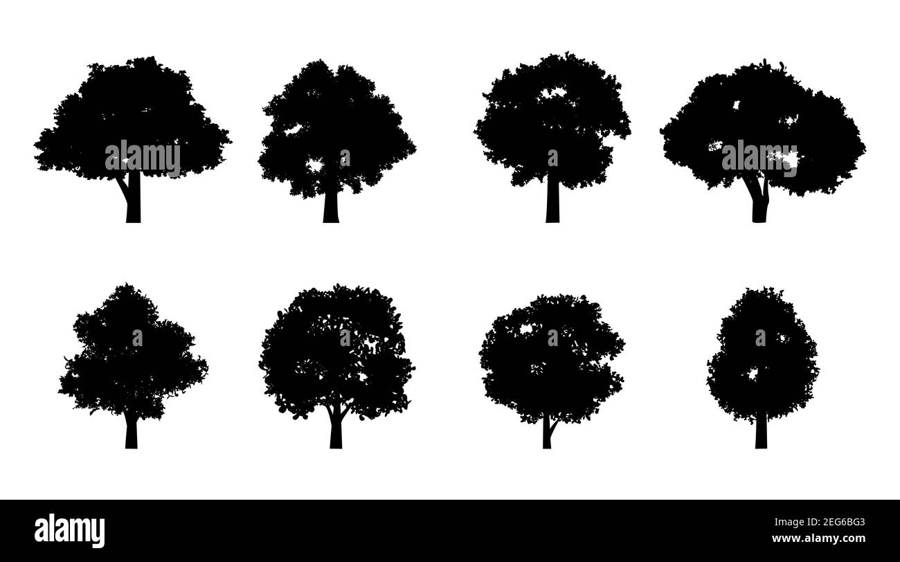 Ensemble de silhouette d'arbres avec couleur noire style d'isolation pour graphiste, illustration vectorielle Illustration de Vecteur