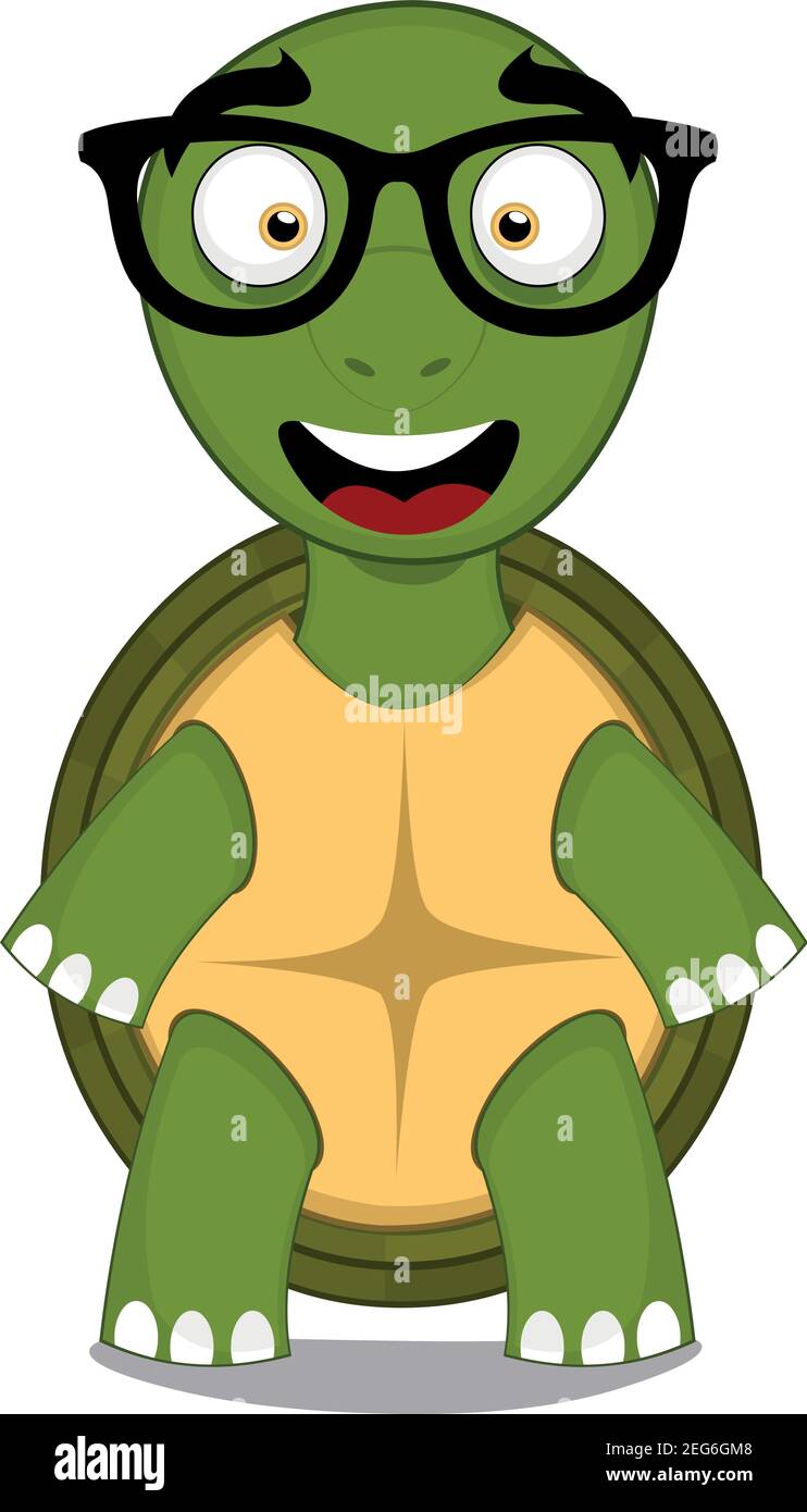 Lunette tortue hotsell