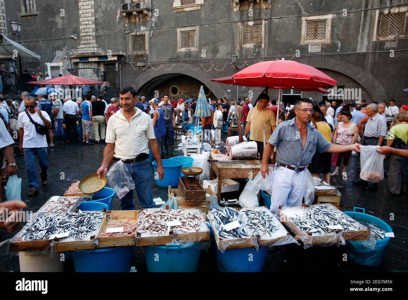 Poisson frais au marché aux poissons de la vieille ville de Catane dans la province de Sicile en Italie. Italie, Sicile, octobre 2014 Banque D'Images