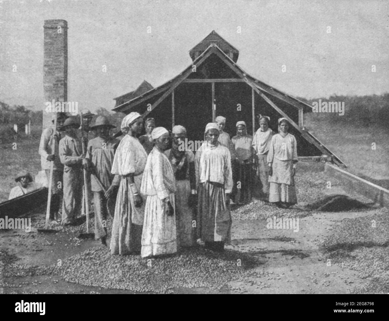 Photo du début du XXe siècle d'une femme écrasant des fèves de cacao avec leurs pieds sur le toit d'une maison de séchage Dans une plantation de cacao à Trinidad vers 1920 pendant le Période où l'île était une colonie britannique Banque D'Images