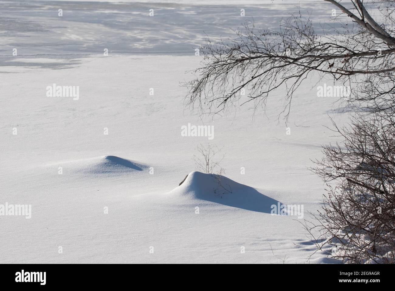 L'étang de couvertures de neige près de la terre avant d'atteindre la glace balayée par le vent et les buttes de gazon font des formes sous les arbres sur la rive. Banque D'Images