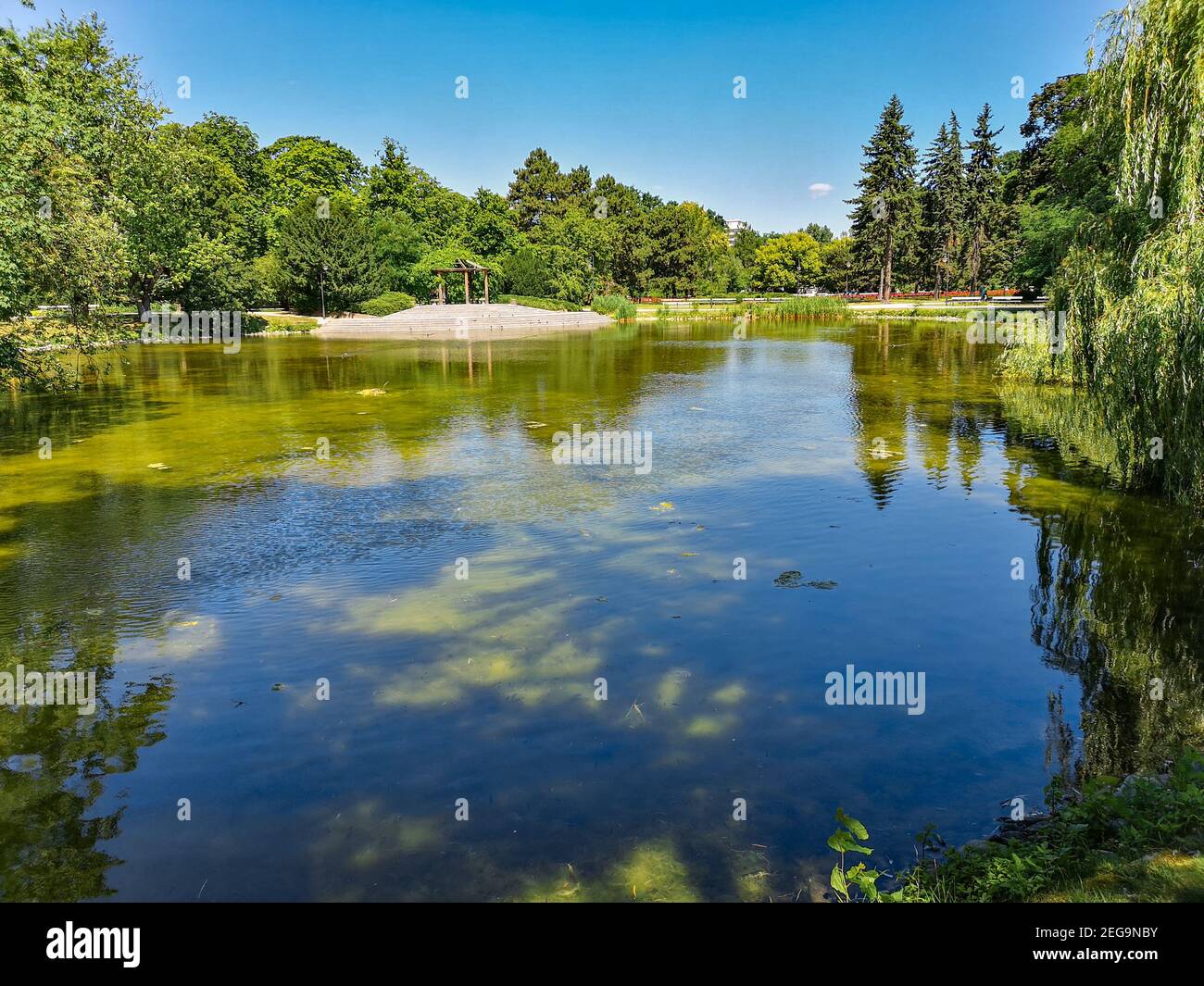 Lac vert dans le parc avec des arbres autour à la journée ensoleillée Banque D'Images