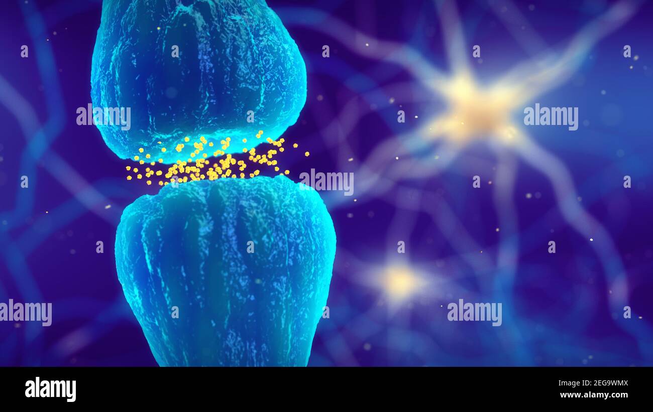 Les synapses du cerveau et la pathologie des maladies neurologiques, transmission synaptique Banque D'Images