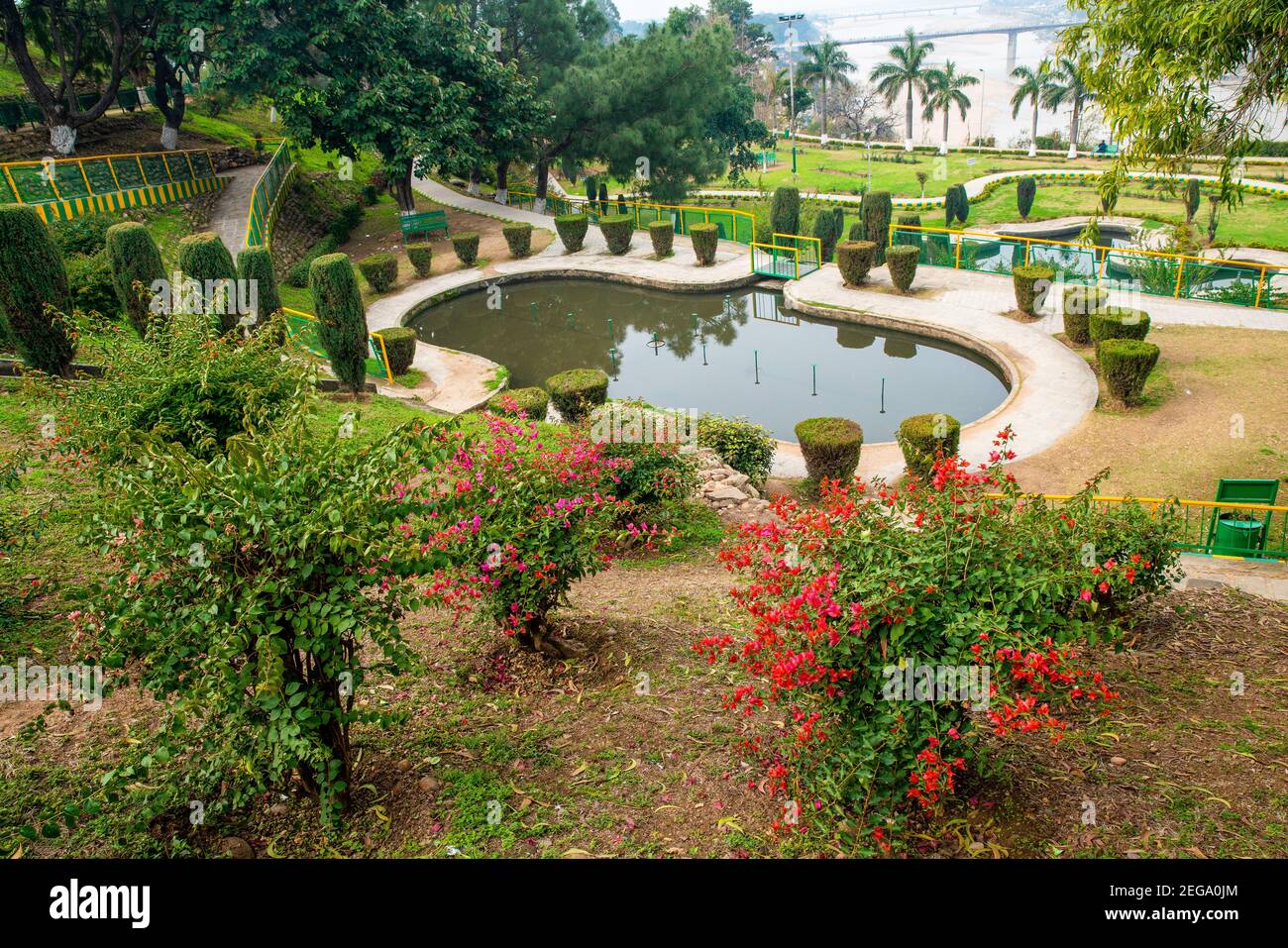 Vue imprenable sur le jardin de Bagh-E-Bahu (buissons d'Euphorbia Pulcherimma) et petite piscine avec arbres topiaires . Jammu-et-Cachemire. Banque D'Images