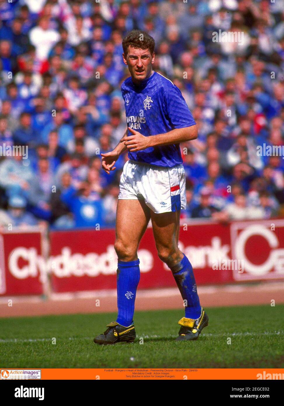 Football - Rangers v Heart of Midlothian - Premiership Division - Ibrox  Park - 29/4/89 crédit obligatoire : action Images Terry Butcher en action  pour Glasgow Rangers Photo Stock - Alamy