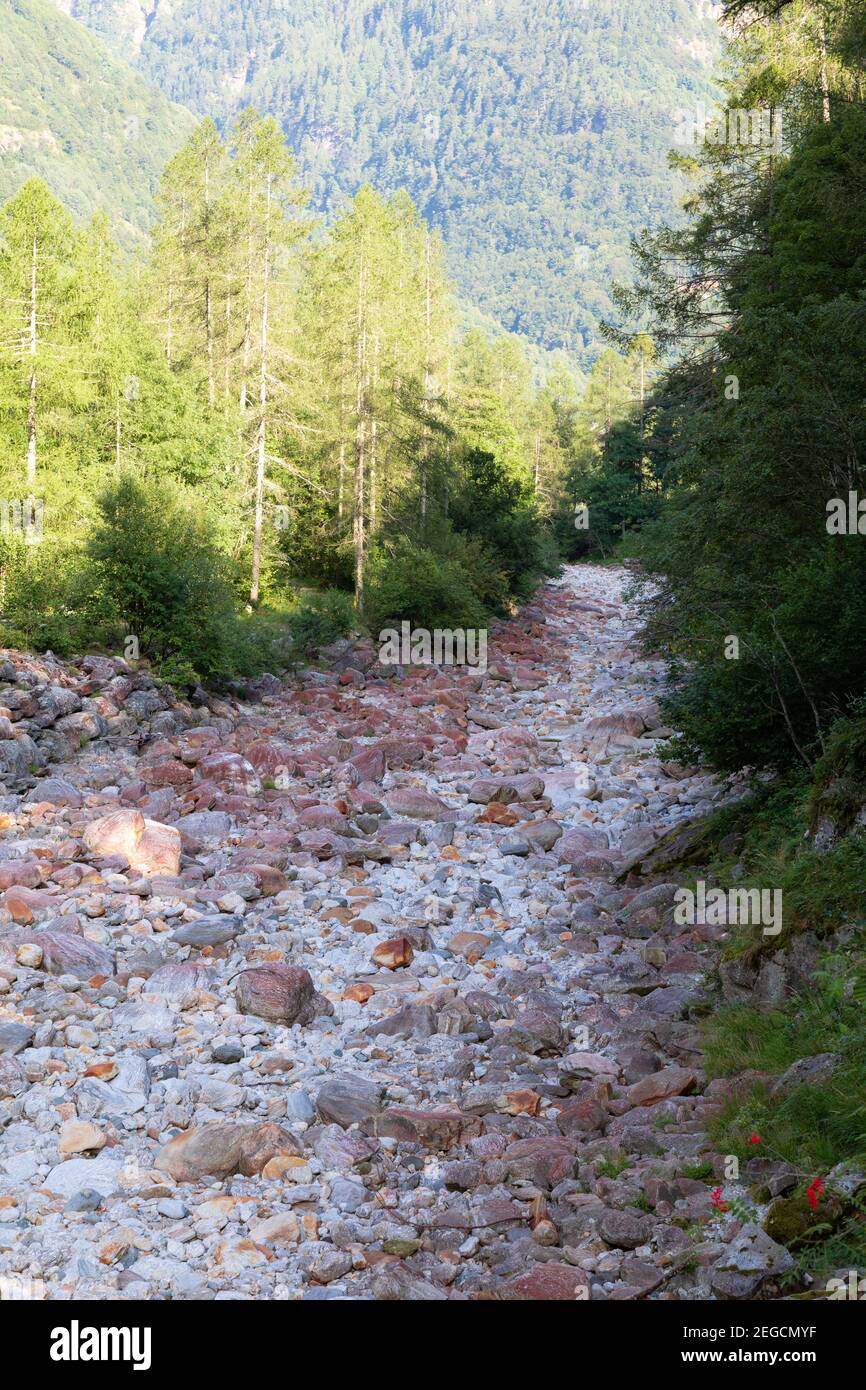 suisse, vallée de verzasca: lit sec avec de nombreuses pierres rouges lavées, dans certains étés il est très chaud dans la vallée, les habitants et les touristes souffrent Banque D'Images
