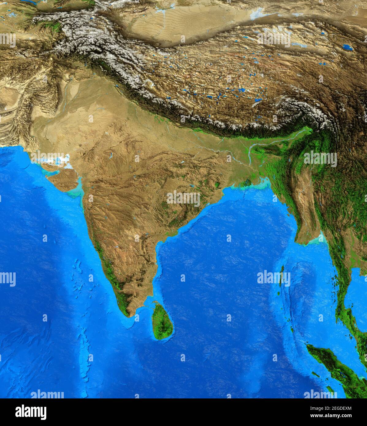 Carte physique de l'Inde et de l'Himalaya. Vue plate détaillée de la planète Terre. Illustration 3D - éléments de cette image fournis par la NASA Banque D'Images
