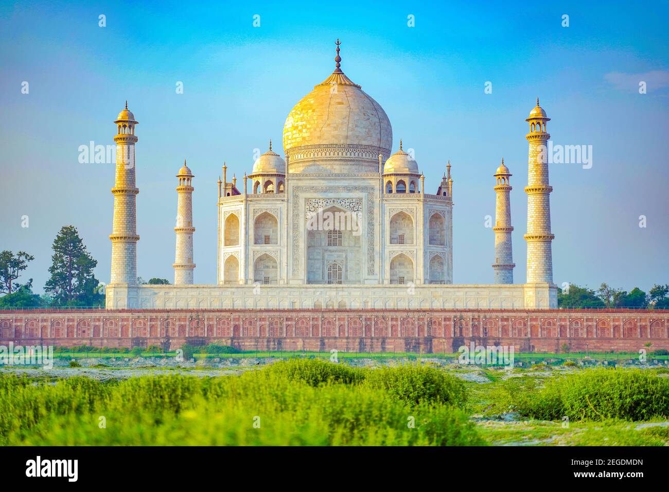 Le Taj Mahal est un mausolée en marbre blanc ivoire sur la rive sud de la rivière Yamuna dans la ville indienne d'Agra. Banque D'Images