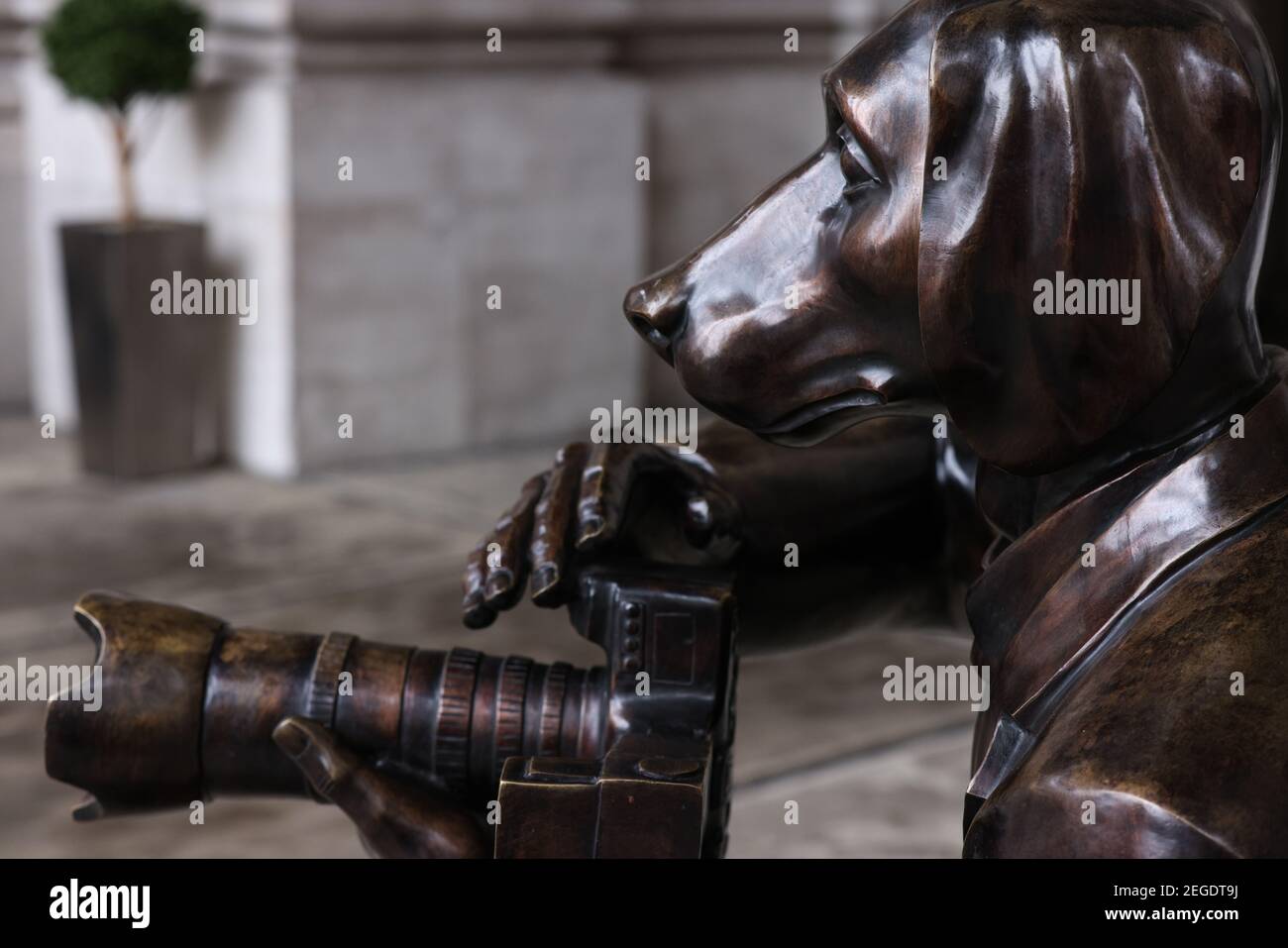 17 février 2021, Bourse royale, Londres, Royaume-Uni, Paparazzi chiens sculpture, Par Gillie et Marc. Banque D'Images