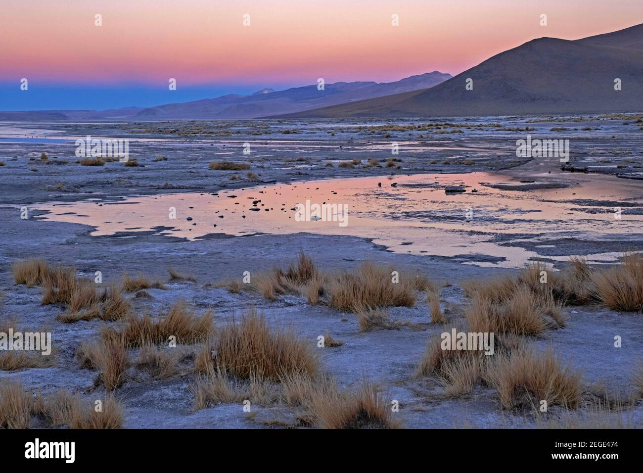 Laguna Polques au coucher du soleil, lagune avec sources chaudes à Salar de Chalviri, plat de sel / saltplat dans la réserve nationale de faune andine Eduardo Avaroa, Bolivie Banque D'Images